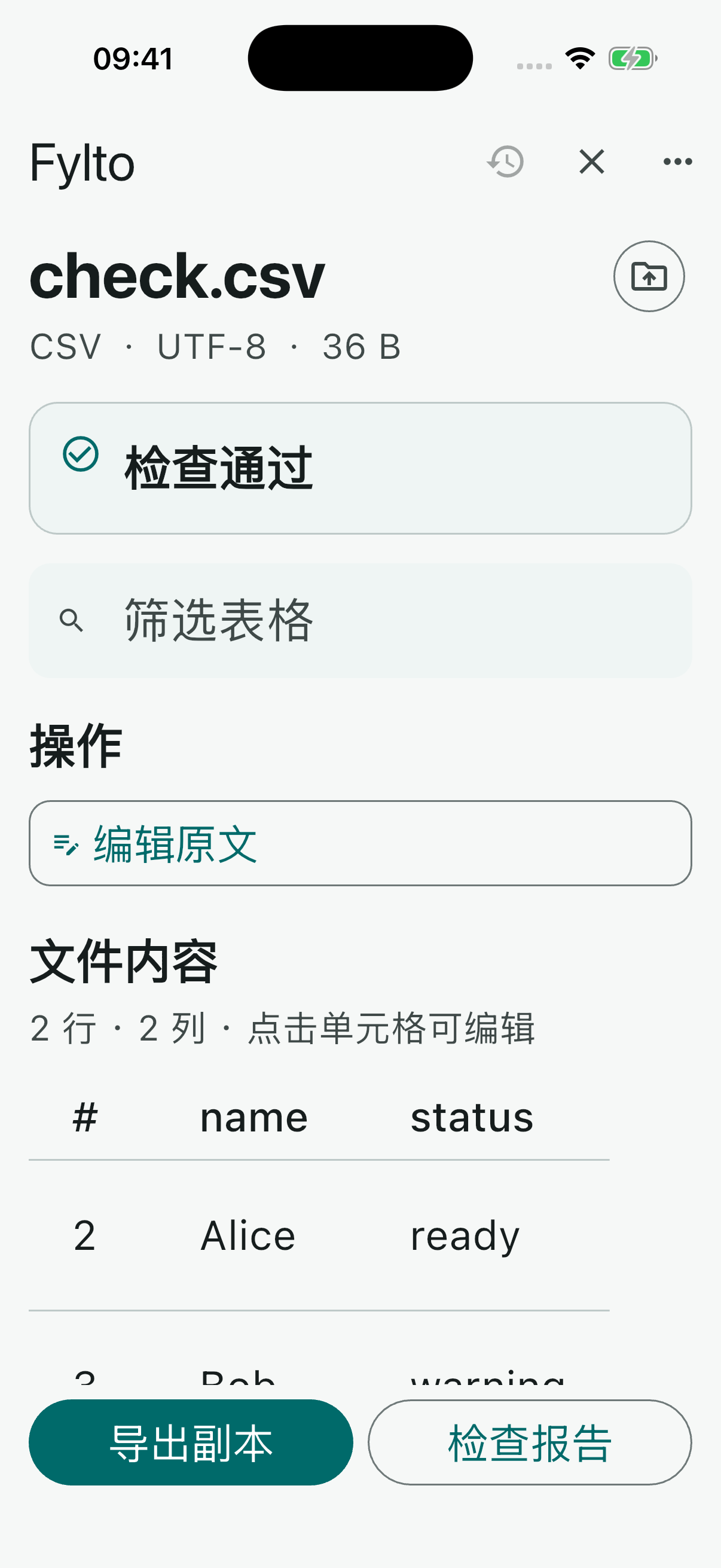 Fylto iPhone 版的 CSV 检查界面